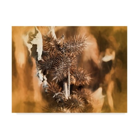 Anthony Paladino 'Brown Thistle An Leaf Soft Yellow Pastel' Canvas Art,14x19